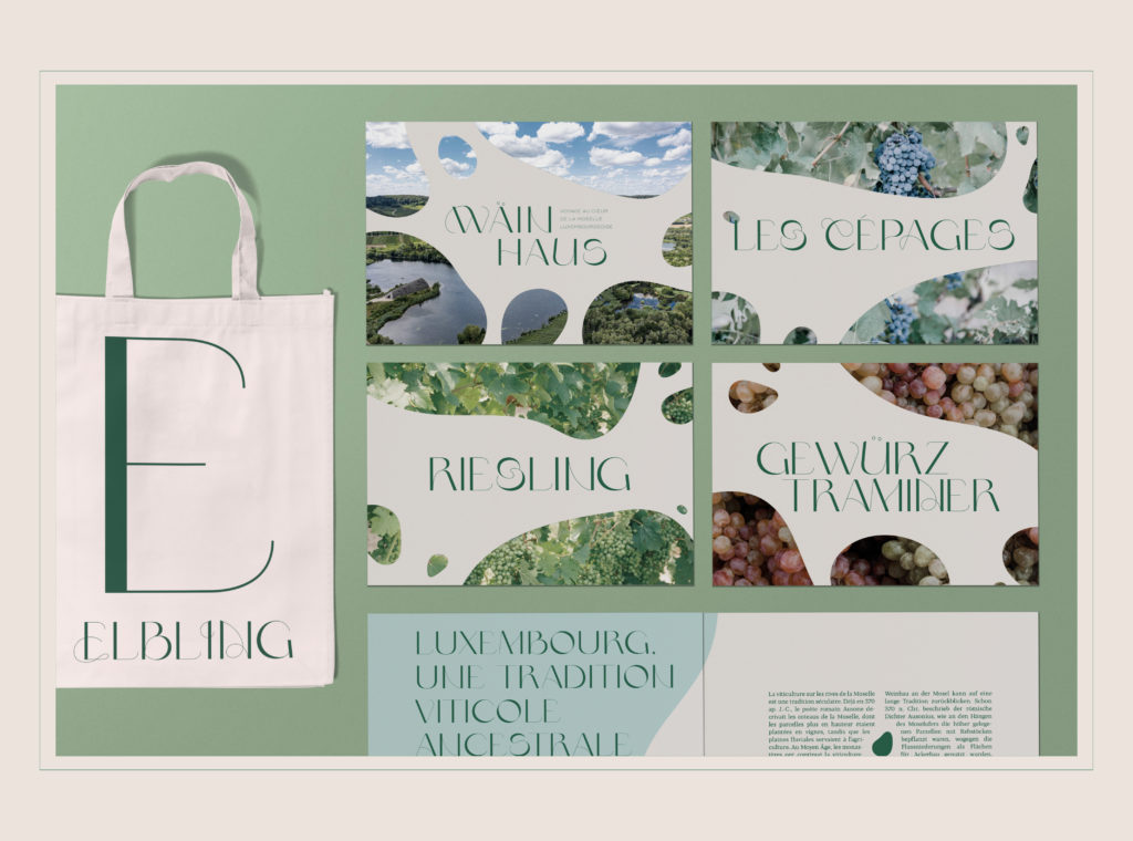 BKP Wainhaus - Site11