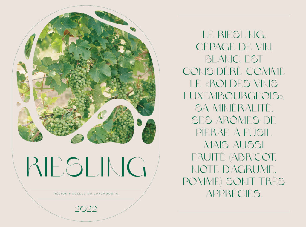 BKP Wainhaus - Site12