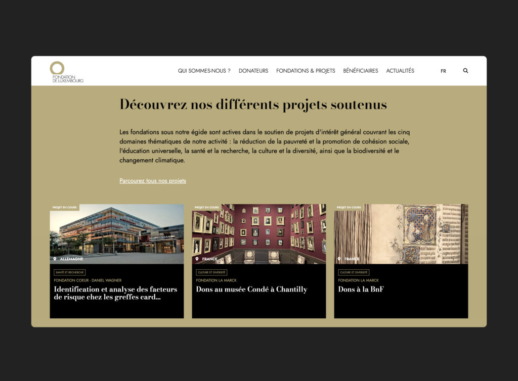 website_fdlux_02